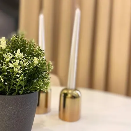 Rose 3 Wonderful 1+1 Cleopatra * Алания